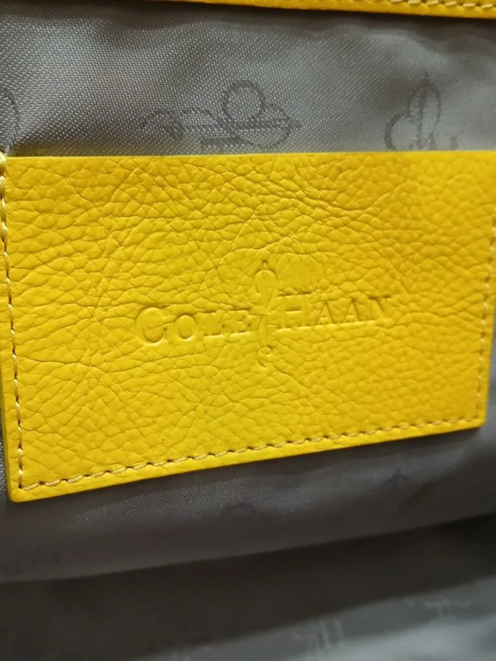 Cole Haan Hand Painted Leather Bag